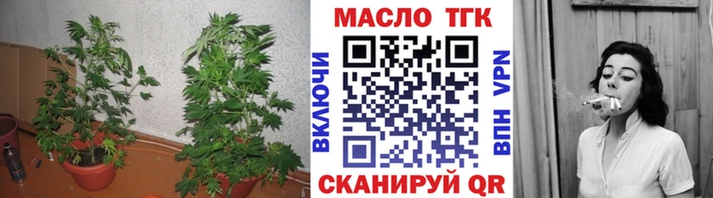 мега маркетплейс  Асино  Дистиллят ТГК гашишное масло 